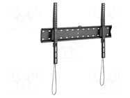 Holder; for wall mounting; 40kg; 37÷70"; black; permanent GEMBIRD