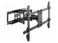 Holder; for wall mounting; 60kg; 37÷80"; black GEMBIRD