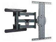 Holder; for wall mounting; 50kg; 40÷80"; black GEMBIRD