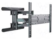 Holder; for wall mounting; 50kg; 40÷80"; black GEMBIRD
