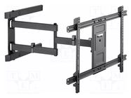 Holder; for wall mounting; 50kg; 37÷80"; black GEMBIRD