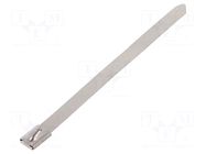 Cable tie; L: 100mm; W: 4.6mm; stainless steel AISI 304; 445N RAYCHEM RPG