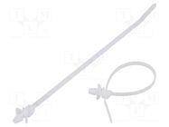 Cable tie; with fixing lugs; L: 152mm; W: 3.4mm; natural; polyamide PANDUIT