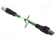 Adapter; M12 male,RJ45 plug; D code-Ethernet; PIN: 4; IP67; Cat: 5e MOLEX