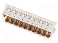 Connector: wire-board; plug; female; PicoFlex; PIN: 20; IDC; 1.2A MOLEX