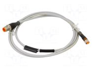 Cable: for sensors/automation; M12,M8; PIN: 4; 1.5m; plug; 30VDC LUMBERG AUTOMATION