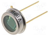 Photodiode; TO5; THT; 565nm; 420÷675nm; 100° VISHAY