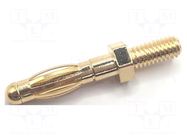 Connector: 4mm banana; plug; 35A; 29mm; gold-plated; M4; brass MUELLER ELECTRIC