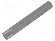Screwdriver bit; Torx®; TX55; 1/4"; Overall len: 75mm BETA