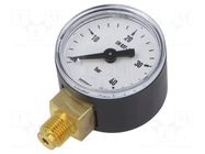 Manometer; 0÷40bar; M10x1,bottom connection; 40mm; Temp: -20÷60°C PNEUMAT