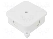 Enclosure: junction box PAWBOL
