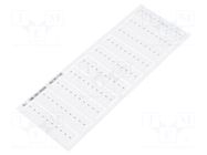 Label; white; slide TE Connectivity
