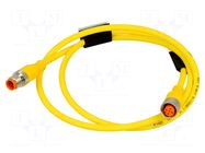 Cable: for sensors/automation; M12; PIN: 5; 1m; plug; 60VDC; 50VAC LUMBERG AUTOMATION