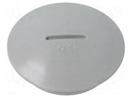 Stopper; PG36; polystyrene; light grey; 10mm OBO BETTERMANN