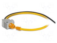 Rogowski coil; current; Len: 3m; Probe l: 300mm; IP54; -30÷80°C PHOENIX CONTACT