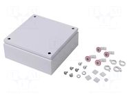 Enclosure: multipurpose; X: 300mm; Y: 300mm; Z: 120mm; KX; steel; IP66 RITTAL