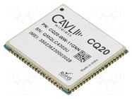 Module: LTE; Down: 50Mbps; Up: 150Mbps; LGA; SMD; 2G,GNSS,LTE CAT4 CAVLI WIRELESS INCORPORATED