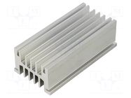 Heatsink: extruded; grilled; natural; L: 100mm; W: 50.7mm; H: 33mm FISCHER ELEKTRONIK