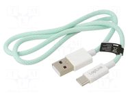 Cable; USB 2.0; USB A plug,USB C plug; 500mm; green; 480Mbps; 60W LOGILINK