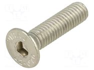 Screw; M6x25; 1; Head: countersunk; hex key; HEX 4mm; DIN 7991 KRAFTBERG