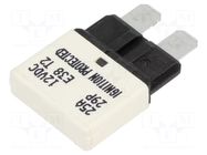 Fuse: fuse; 25A; 14VDC; automotive GLOSO