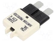 Fuse: resettable; 25A; 32VDC; automotive; 20.05mm; MAXI GLOSO