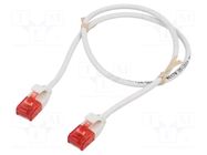 Patch cord; RJ45 plug,both sides; U/UTP; 6; stranded; Cu; 5m; PVC GOOBAY