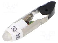LED lamp; white; T5,5K; 24VDC; 24VAC; plastic; 3mm; -20÷60°C CML INNOVATIVE TECHNOLOGIES