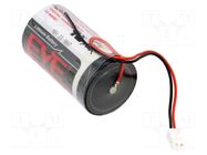 Battery: lithium; D; 3.6V; 19000mAh; non-rechargeable EVE BATTERY