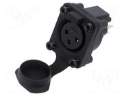 Connector: XLR; socket; female; AXS; 15A; 133V; PIN: 3; IP65; THT AMPHENOL