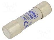 Fuse: fuse; 12A; 1kVDC; gPV; 10x38mm LOVATO ELECTRIC