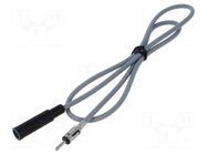 Cable; 1m; DIN socket,DIN plug; Car brand: universal MTA