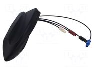 Antenna; automotive,SHARK; AM,DAB,FM,GNSS,GSM,LTE,UMTS; Fakra MTA
