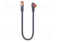Cable: for sensors/automation; M8; PIN: 5; 5m; plug; 60VDC; 50VAC; 3A LUMBERG AUTOMATION