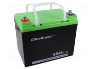 Re-battery: acid-lead; 12V; 36Ah; AGM; maintenance-free QOLTEC