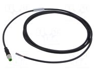 Cable: for sensors/automation; M8; PIN: 3; straight; 2m; plug; 60VDC MURRELEKTRONIK