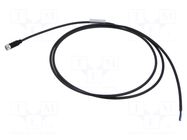 Cable: for sensors/automation; M8; PIN: 3; straight; 1.5m; plug MURRELEKTRONIK