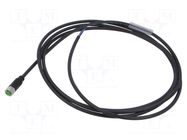 Cable: for sensors/automation; M8; PIN: 3; straight; 2m; plug; 60VDC MURRELEKTRONIK