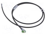 Cable: for sensors/automation; M8; PIN: 3; angled; 1m; plug; 30VDC MURRELEKTRONIK