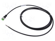 Cable: for sensors/automation; M12; PIN: 4; straight; 2m; plug; 4A MURRELEKTRONIK