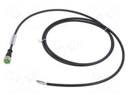 Cable: for sensors/automation; M12; PIN: 5; straight; 1.5m; plug MURRELEKTRONIK
