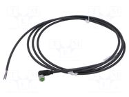 Cable: for sensors/automation; M8; PIN: 3; angled; 2m; plug; 60VDC MURRELEKTRONIK