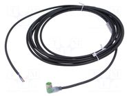 Cable: for sensors/automation; M8; PIN: 3; angled; 5m; plug; 30VDC MURRELEKTRONIK