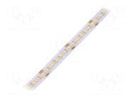 LED tape; white warm/cold white; 2835; LED/m: 240; 12mm; white PCB IPIXEL LED