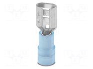Tip: flat; Type: insulated; Body: blue; Mat: PA; UL94V-2; -20÷105°C PHOENIX CONTACT