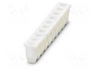 Protection; Body: white PHOENIX CONTACT