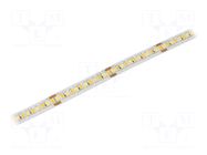 LED tape; white warm/cold white; 2835; LED/m: 240; 10mm; white PCB IPIXEL LED