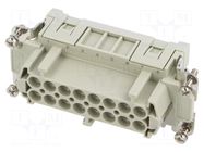 Connector: HDC; contact insert; female; CCE; PIN: 16; 16A; 600V ILME