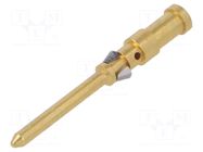 Contact; male; CD; copper alloy; gold-plated; 1mm2; 18AWG; crimped ILME