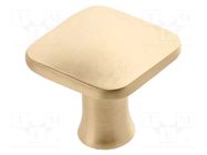 Knob; H: 27mm; zamak; W: 30mm; L: 30mm; PIAZZA; furniture; square GTV Poland